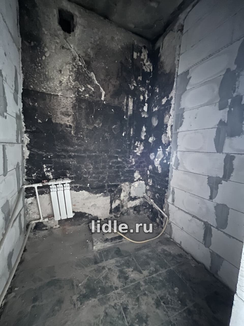Фото объявления 14