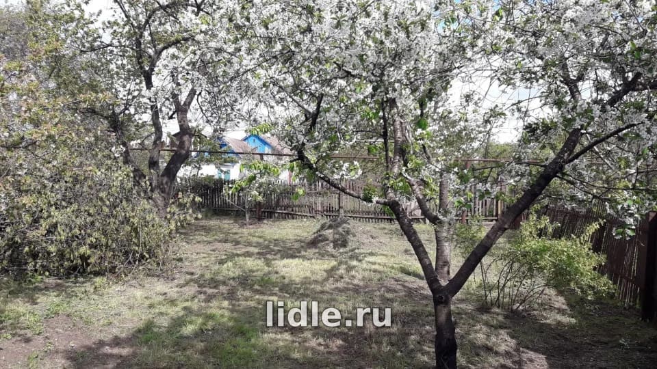 Фото объявления 1
