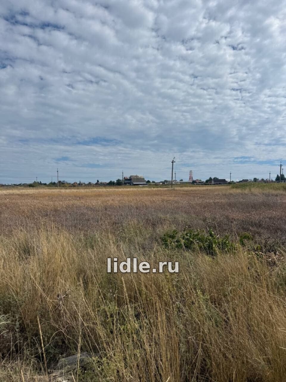 Фото объявления 3