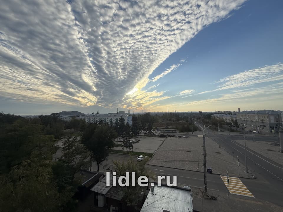 Фото объявления 13