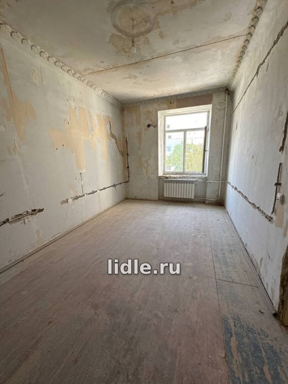 Фото объявления 5