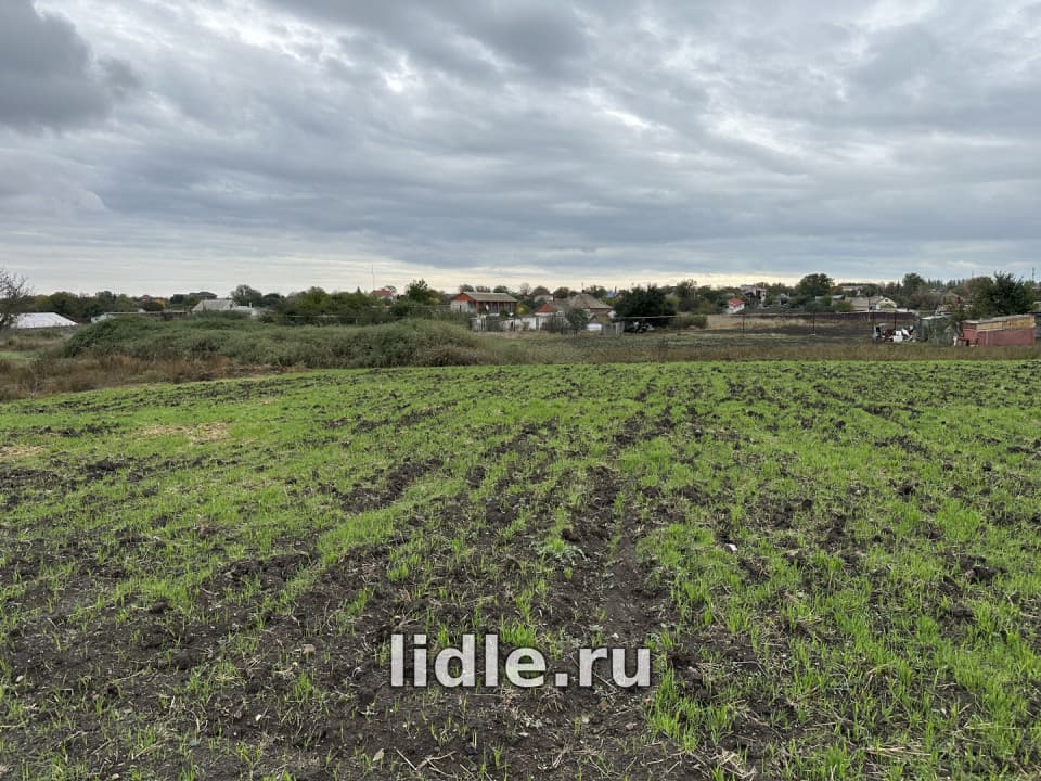 Фото объявления 8