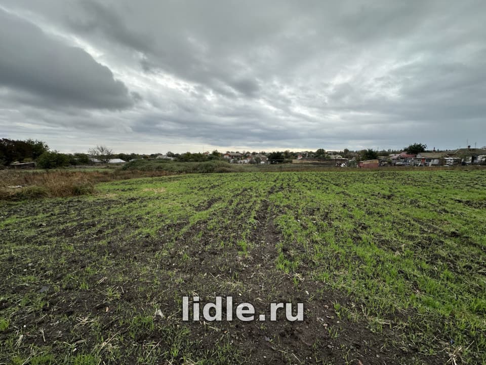 Фото объявления 7