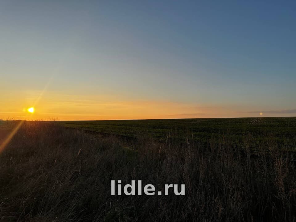 Фото объявления 6