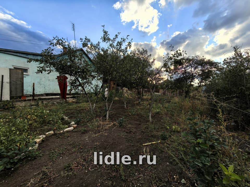 Фото объявления 3