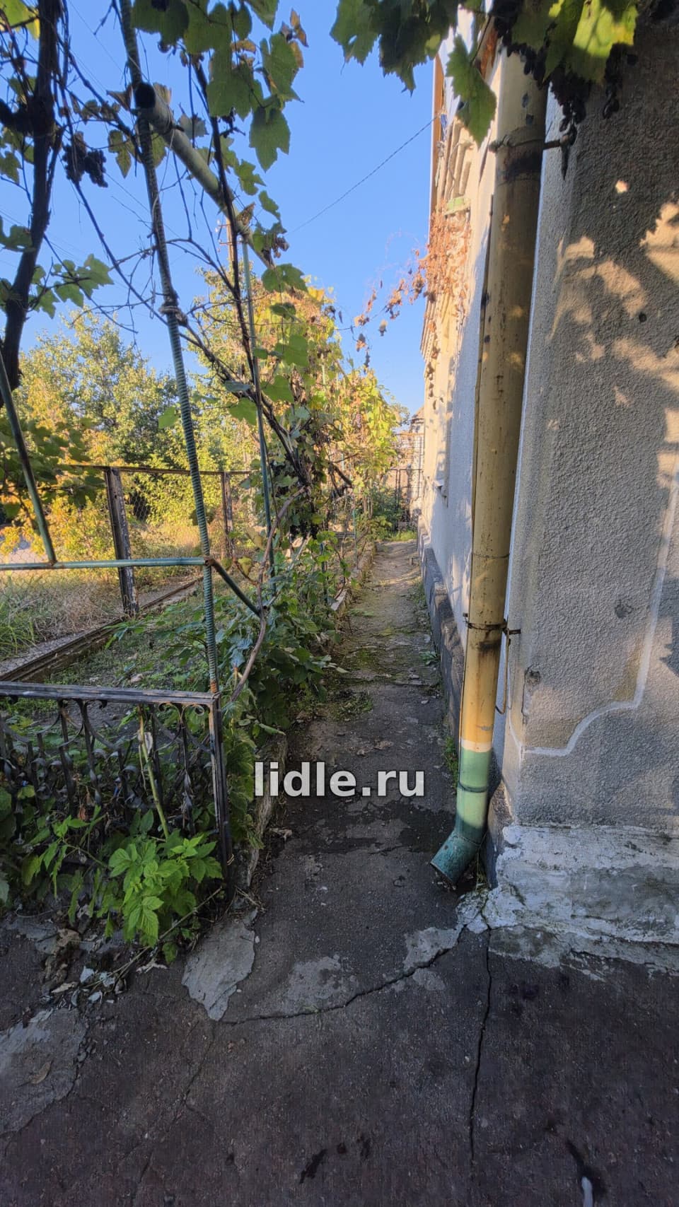 Фото объявления 3