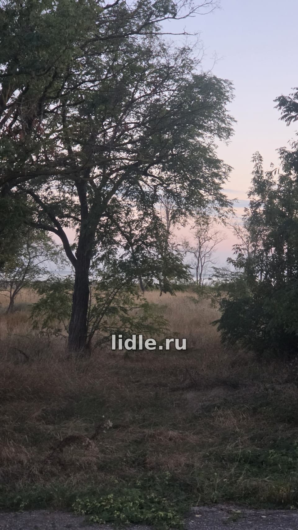 Фото объявления 14