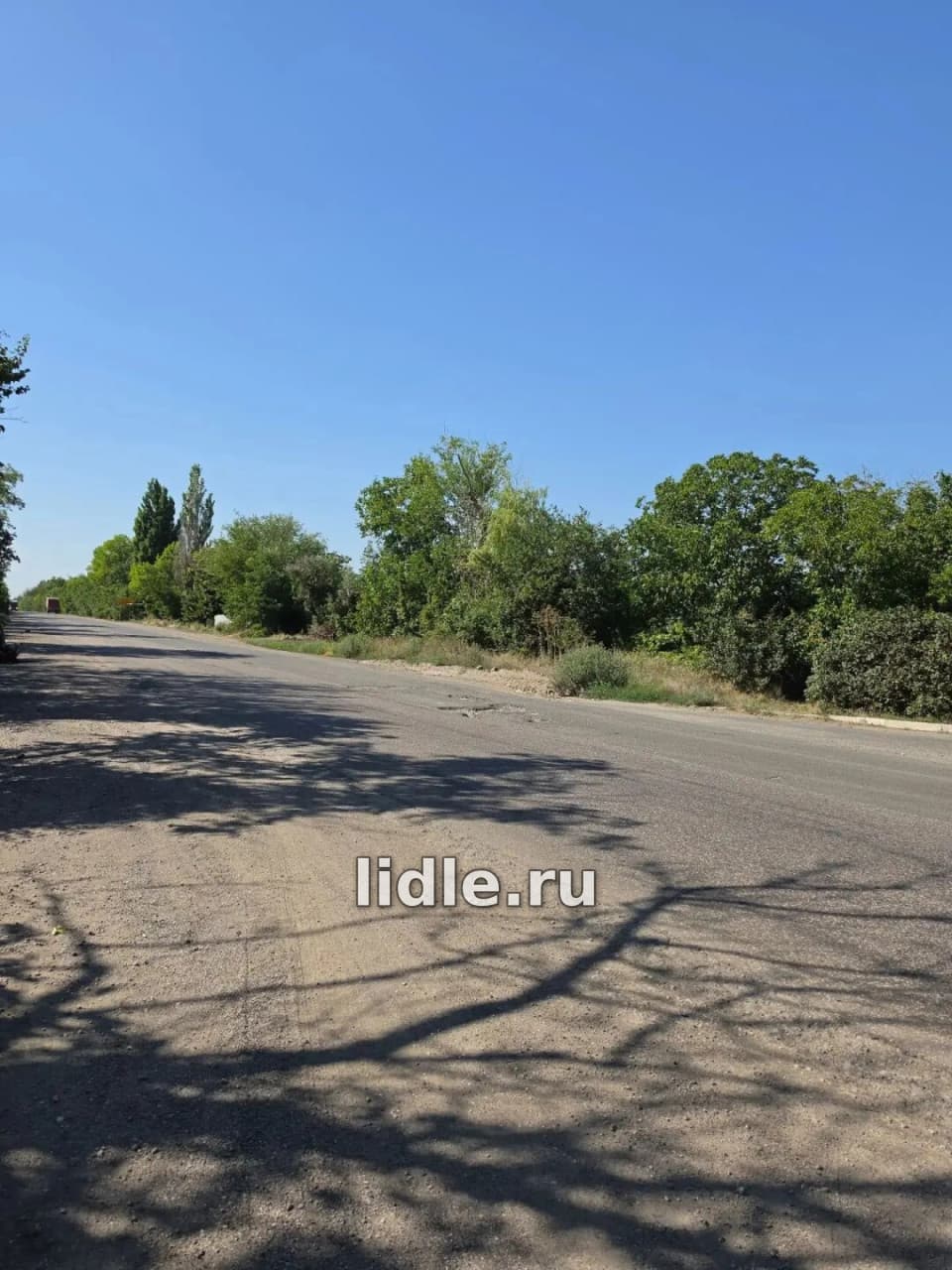 Фото объявления 5