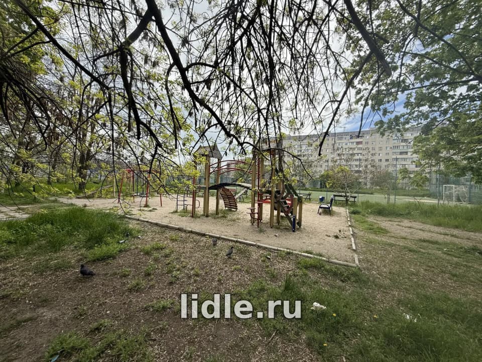 Фото объявления 13
