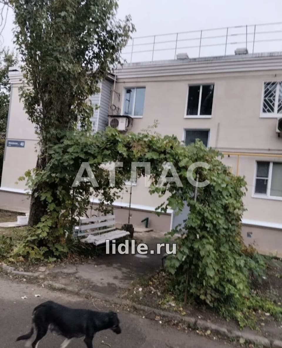 Фото объявления 2