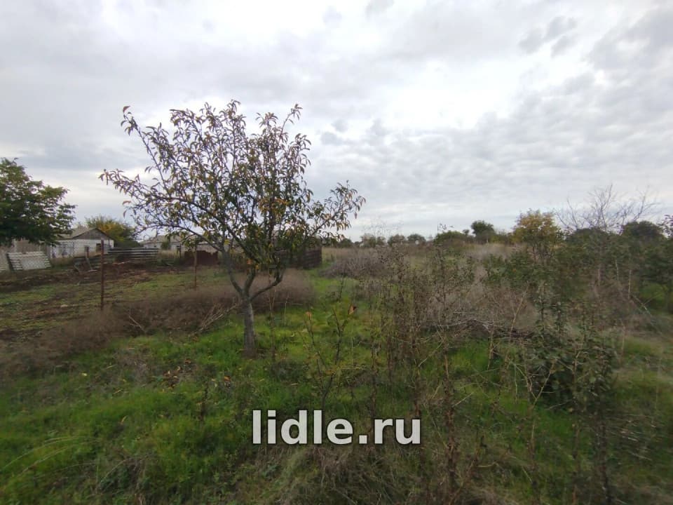 Фото объявления 15