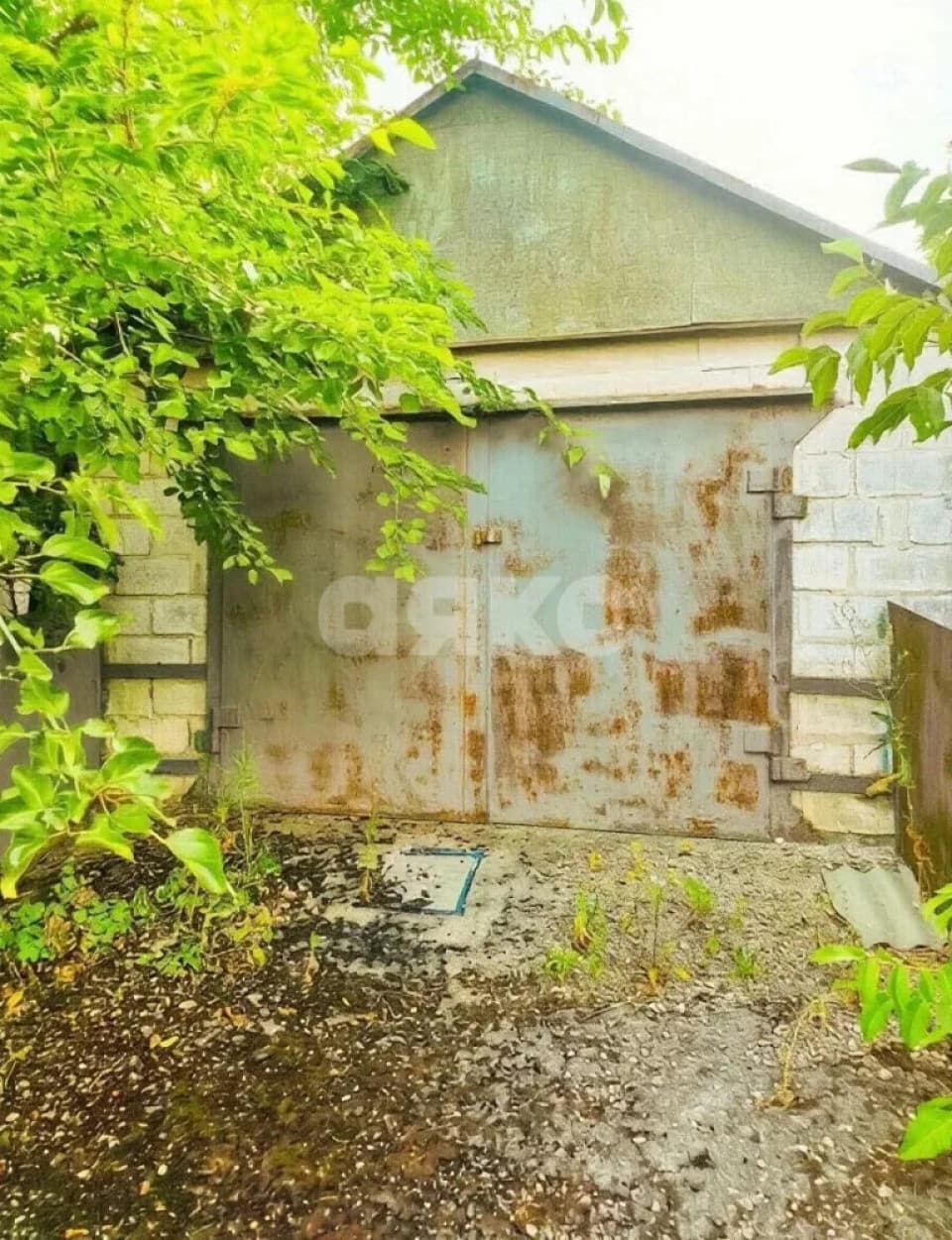 Фото объявления 7