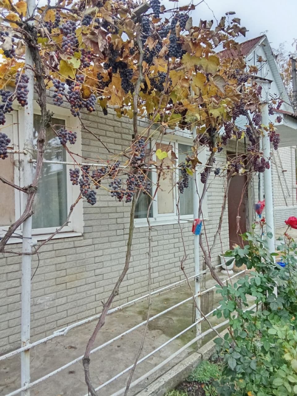 Фото объявления 6